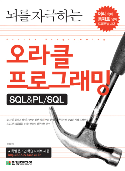 뇌를 자극하는 오라클 프로그래밍 SQL&PL/SQL